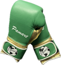 PAMART 16 Oz Boxing Glove | Gold And Green | Straps